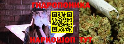 гидропоника Лесосибирск