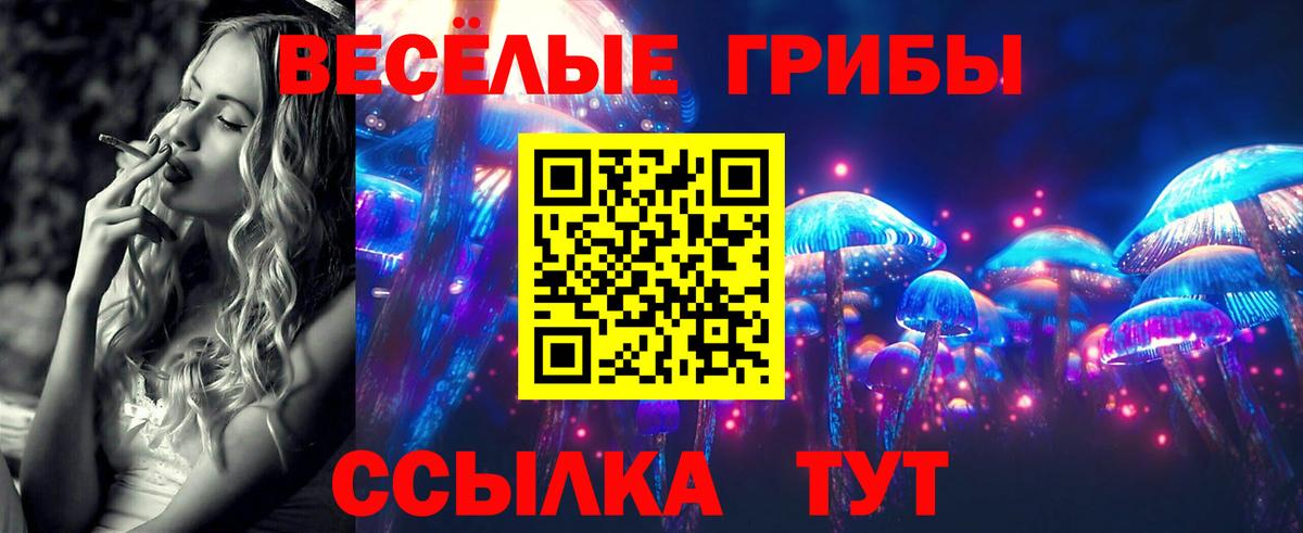 Псилоцибиновые грибы Psilocybe  Вход с VPN  Тавда 