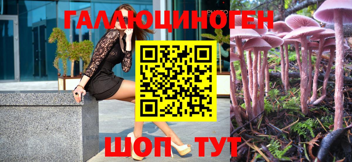 Псилоцибиновые грибы мицелий Тавда